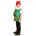 Карнавальный костюм «Гном», 5-7 лет, рост 122-134 см