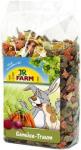 #(2+1)JR FARM 03783 Лакомство д/ грызунов Мечта грызунов 200 г