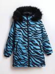 Куртка для девочки р.140 см синий/черный 190/2-2W24 Vulpes