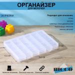 Бокс пластиковый для хранения, 24 отделения, 19,5_13,5_2 см, цвет МИКС