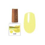 Гель-лак Gel polish (hema free), 10мл №8569