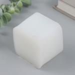Молд силикон "Кубик сыра" 6,2х6,2х5 см
