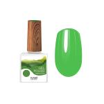 Гель-лак Gel polish (hema free), 10мл №8572