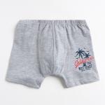 Боксеры для мальчика, цвет серый меланж, рост 140-146 см
