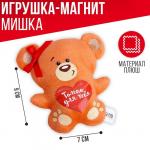 Мягкая игрушка-магнит «Только для тебя», медведь
