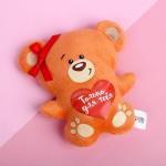 Мягкая игрушка-магнит «Только для тебя», медведь