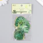 Наклейки для творчества пластик "Пальмовые листья" набор 40 шт 0,3х8х14,8 см