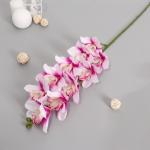 Цветы искусственные "Орхидея амабилис" 90 см, бело-сиреневый