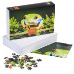 Пазлы «Царевна Лягушка» в подарочной коробке, 500 элементов + постер