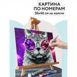 Картина по номерам на холсте 30 * 40 см «Кошачий космос», с акриловыми красками и кистями