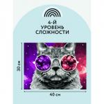 Картина по номерам на холсте 30 * 40 см «Кошачий космос», с акриловыми красками и кистями