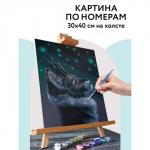 Картина по номерам на холсте 30 * 40 см «Мистический кот», с акриловыми красками и кистями