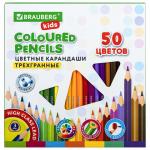 Карандаши цветные BRAUBERG KIDS, 50 цветов, трехгранный корпус, грифель мягкий 3 мм, 181946