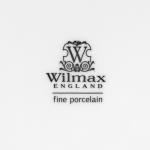 Маслёнка фарфоровая Wilmax, 19*12,5*8,5 см, цвет белый