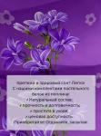 Комплект наволочек 40*40 см (2 шт.), поплин (Летний сад (компаньон))