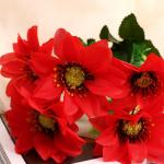 Букет "Анемоны галант" 6 цветков, d-8 см h-30 см, микс
