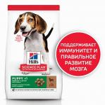 Сухой корм Hill's Science Plan для щенков средних пород для поддержания сильного иммунитета, с ягненком и рисом, 800 г