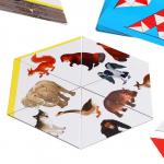 Развивающая игра «Калейдоскоп животных. Тримино»
