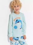 Пижама для мальчика (джемпер, брюки) р. 80 см голубой Собака 10764AW23 Vulpes