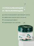 ROUND LAB Пэды с экстрактами сосны и центеллы для проблемной кожи Pine Calming Cica Pad 50 шт