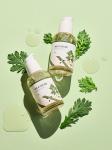 ROUND LAB Успокаивающая сыворотка с полынью Mugwort Calming Serum 50 мл