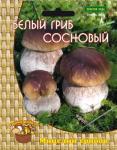 Белый гриб сосновый (60мл.)