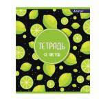 Тетрадь 48л., А5, клетка, Alingar "Яркие фрукты", скрепка, мелованный картон (стандарт), блок офсет, 4 дизайна в пленке т/у