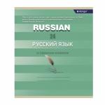 Тетрадь предметная  24л. А5 "Русский язык "  со справочным материалом, скрепка, мелованный картон (стандарт), блок офсет, Alingar "Минимализм"