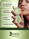 Бальзам для губ Lip balm Aloe Axione Laboratory