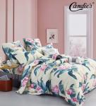КПБ Candie's Home AB CANHAB160