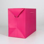Пакет—коробка Дарите Счастье