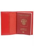 Обложка паспорта Sateg