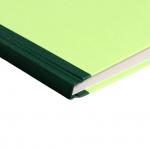 Книга учета, 96 листов, обложка картон 7б, блок газетный, линия, цвет зеленый (имитация) Calligrata