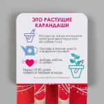Растущие подарочные карандаши mini Самой сказочной "Львиный зев + гвоздика" набор 2 шт.