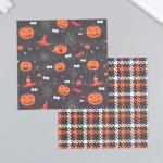 Набор бумаги для скрапбукинга 12 листов 12 дизайнов "Хэллоуин" 160 гр 15,2х15,2 см