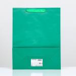 Пакет ламинированный «Зелёный», 31 х 40 х 14 см