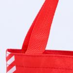 Мешок для подарков «Новогодний подарок», дракон