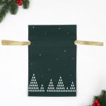 Мешок подарочный "Волшебный лес" зелёный, 20 x 30 см