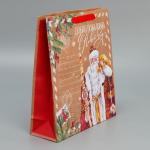 Пакет крафтовый вертикальный «Почта Деда Мороза», M 26 * 30 * 9 см