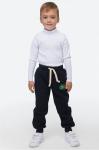 Теплые брюки для мальчика из футера трехнитки с начесом