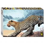 Степ. Пазл 2000 арт.84053 "Леопард в дикой природе"