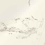 Клеенка столовая на тканевой основе Dulcitudo, рулон 20 метров, ширина 137 см