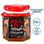 Джем Новый год - новые проблемы