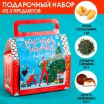 Набор в коробке домике «Волшебных моментов», чай зелёный с жасмином 50 г., печенье с предсказанием 3 шт., конфеты с кремовой начинкой 100 г.