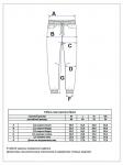 Брюки спорт P321-0821-2 d.blue