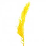 Сухие цветы амаранта, 100 г, размер листа: от 50 до 60 см, цвет жёлтый