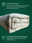 Одеяло Золотое Руно всесезонное 1,5сп