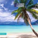 Весы напольные электронные "Пляж" 28*28*0,5 см (работает от 2хААА)