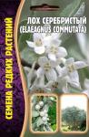 Лох серебристый Elaeagnus commutata многолетник 5шт (Ред.сем)