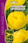 Купальница Европейская многолетник 20шт (Ред.сем)